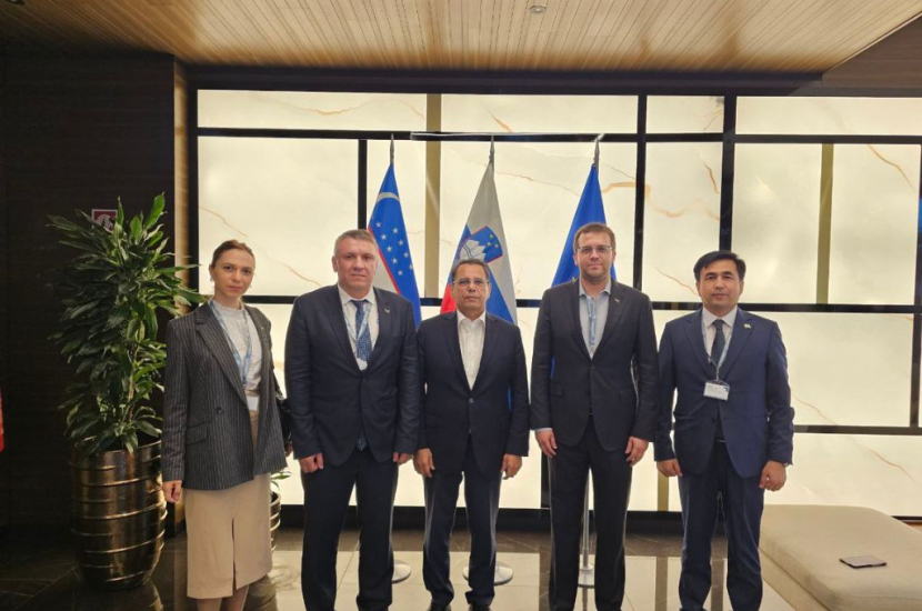 Untitled design (31)